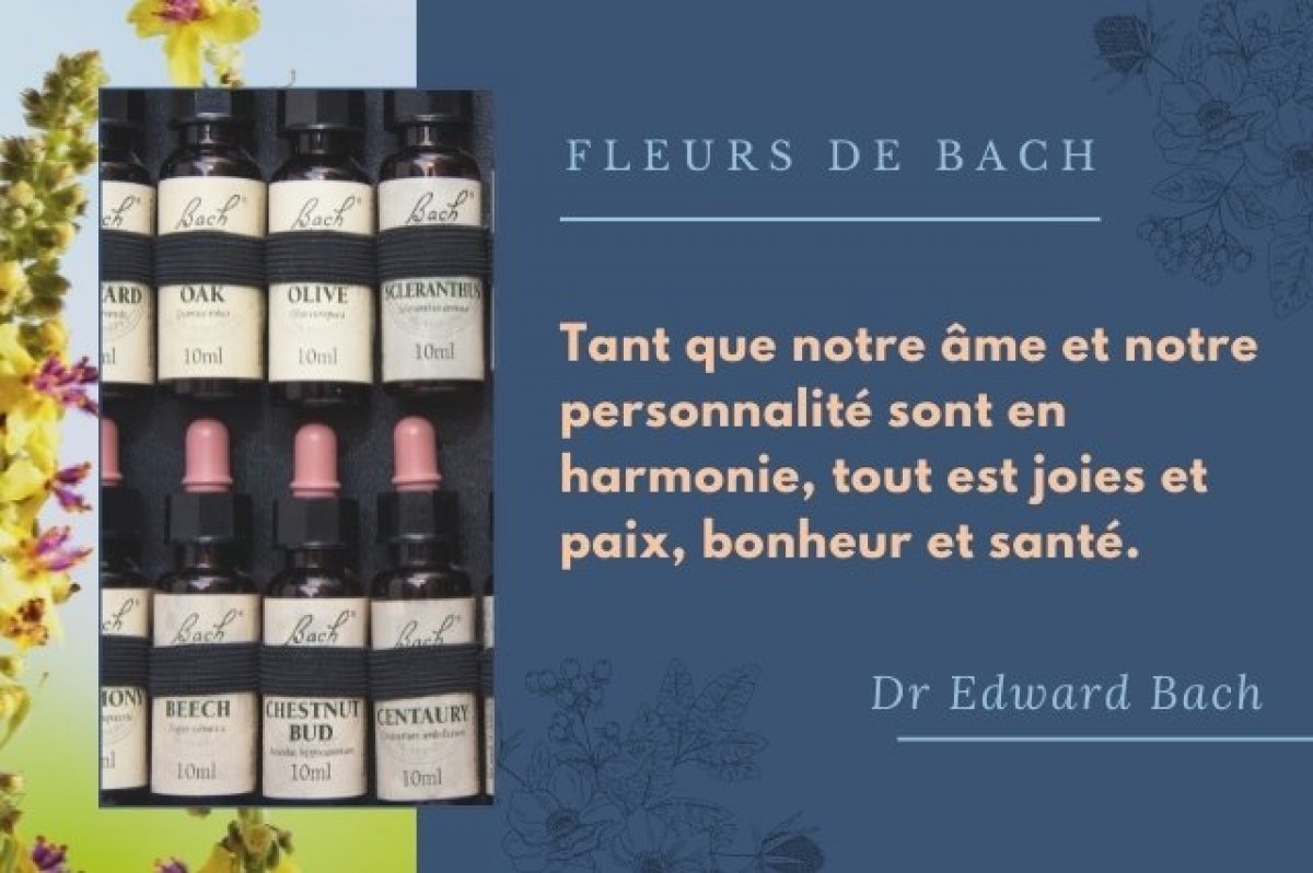 Fleurs de Bach et astrologie