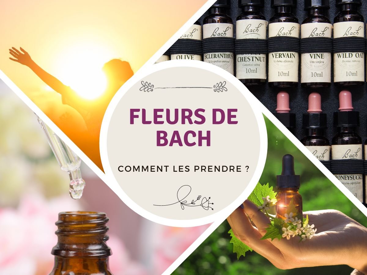 Fleurs de Bach : Comment les prendre efficacement