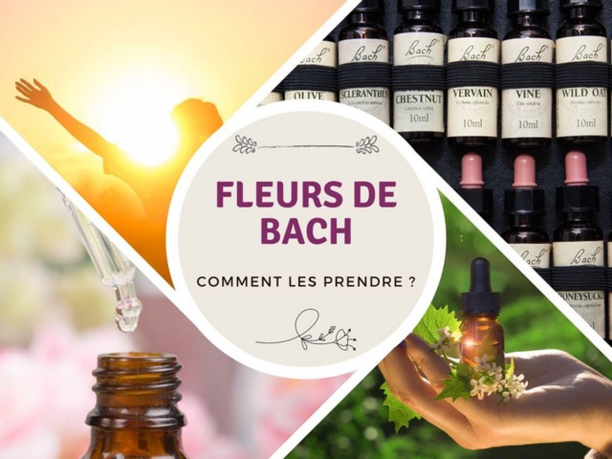 Fleurs de Bach pratiques : Comment faire ? 