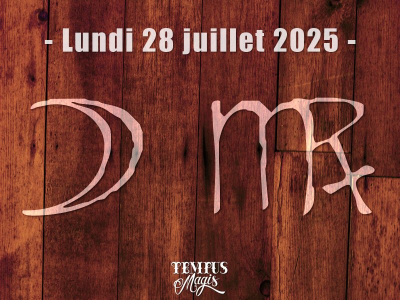 Lune en Vierge (28/07/2025)
