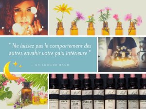 Fleurs de bach et astrologie