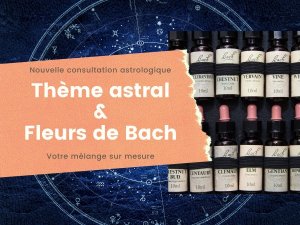 Consultation thème astral et fleurs de Bach (24/08/2022)
