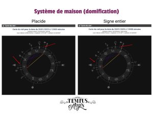 Domification signes entiers (Whole Sign House)