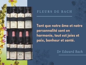 Pourquoi les élixirs floraux du Dr Bach sont si complémentaires de l’astrologie ?