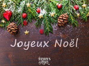 Joyeux noel (24/12/2018)