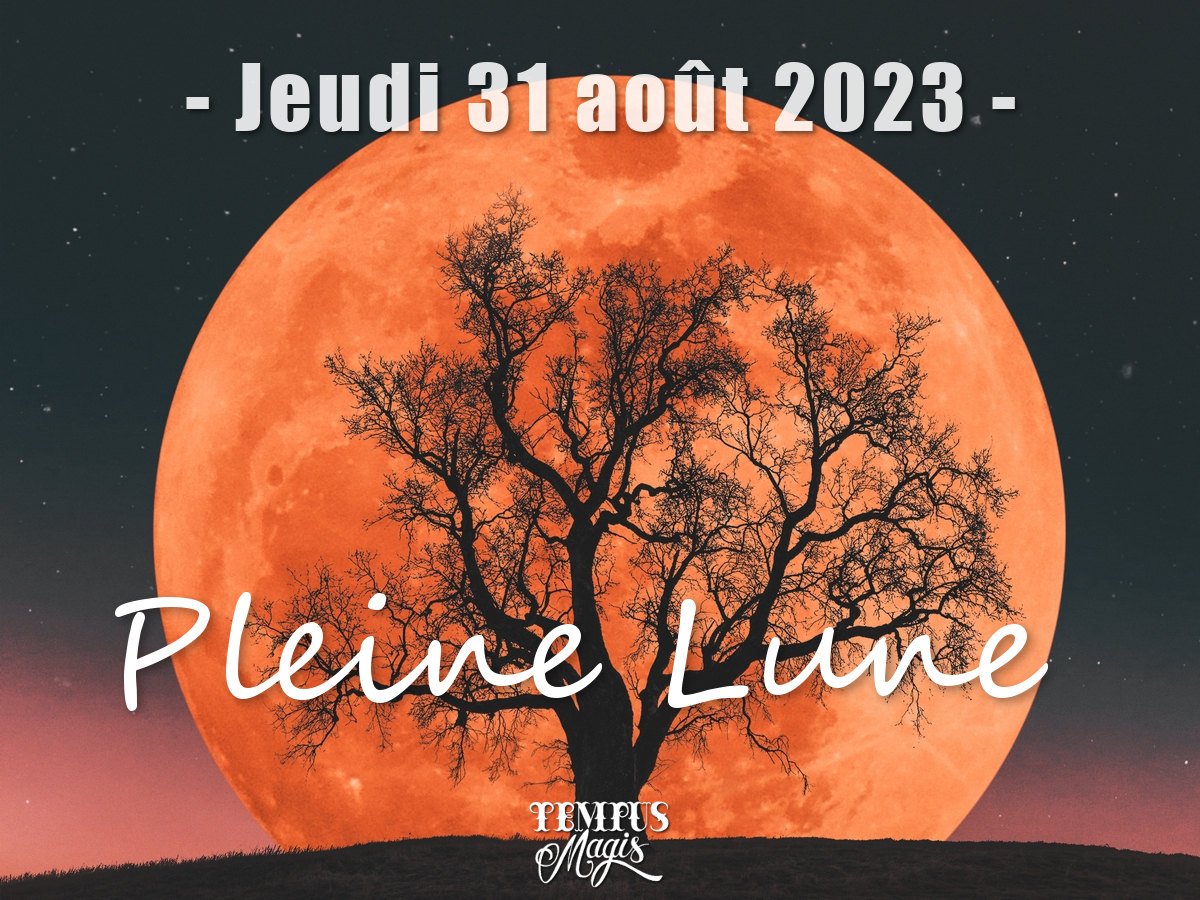 Pleine Lune 31 Aout 2023